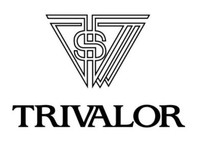 Grupo Trivalor