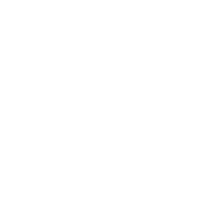 Bagga